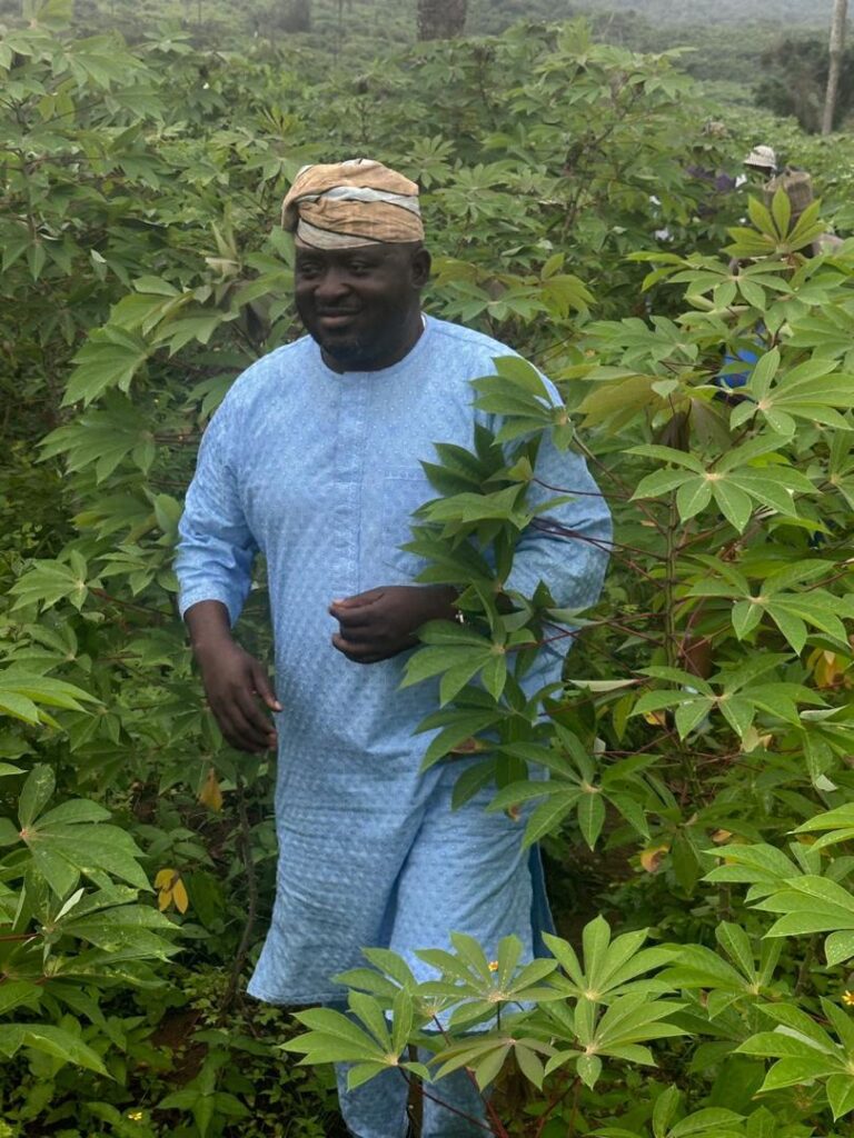 11cd0b58-8a49-46fd-8995-aa05a912a4b1