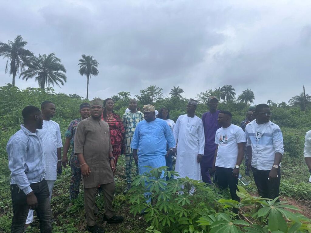 31d7f4e4-c4a0-468c-b01a-8b5a04768efc